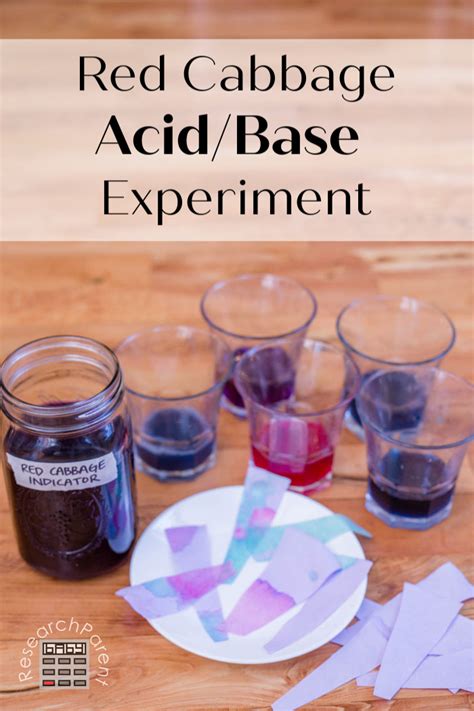 Red Cabbage Acid/Base Experiment – One Perfect Room