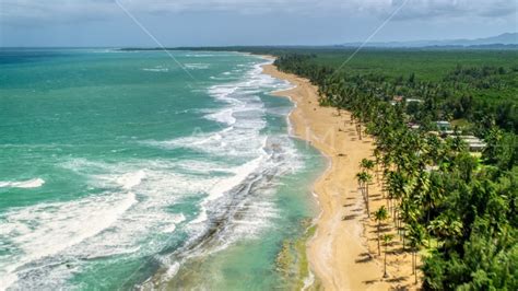 Waves rolling in toward a tree-lined beach in Loiza, Puerto Rico Aerial Stock Photo AX102_019 ...