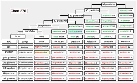 Cousin Family Tree Explained