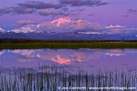 Denali Cloudy Sunrise Reflection 1 Photo, Picture, Print | Cornforth Images