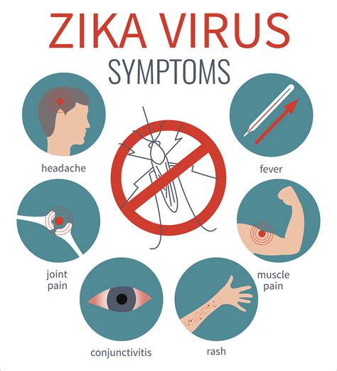 Zika Virus: Myths vs. Facts | UPMC HealthBeat