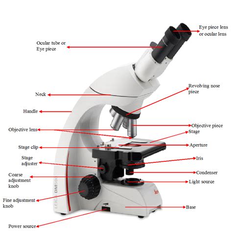 Parts Of A Microscope And Their Functions