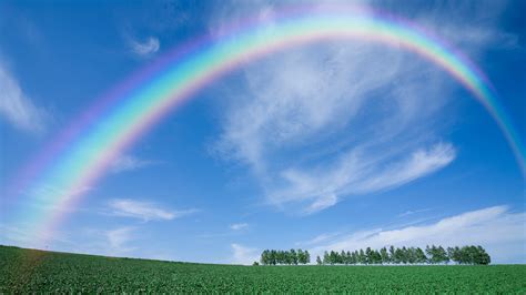 Landscape View Of Rainbow Above Trees HD Rainbow Wallpapers | HD Wallpapers | ID #45586