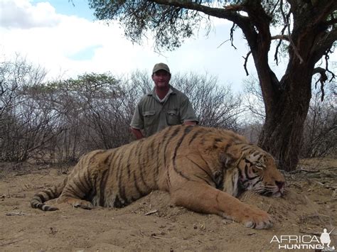 Tiger | AfricaHunting.com