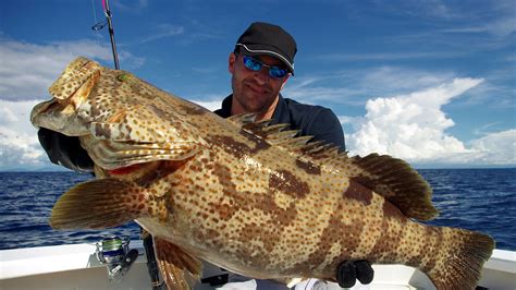 Beginning Jan. 1, grouper and snapper season will see changes | wtsp.com