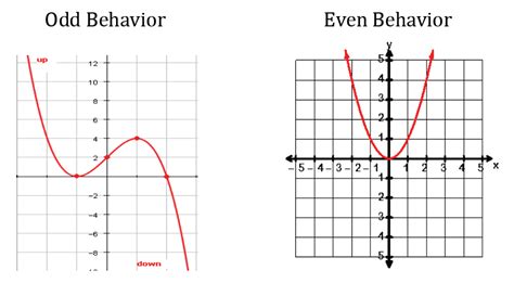 7 Steps to Graph a Polynomial - Center for Academic Program Support