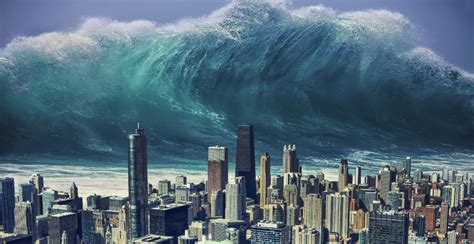 Would you know what to do if a tsunami hit Vancouver? | News