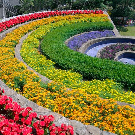 Plant a Pride Rainbow Garden! — Seattle's Favorite Garden Store Since ...