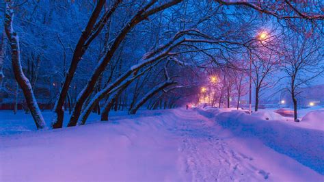 Night view of the winter city with snow-covered trees and lanterns, Moscow, Russia | Windows ...