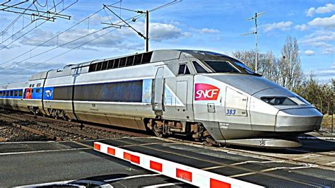 [Compilation] - Trains SNCF TGV, TER, Intercités, OUIGO autour du Mans | Intercités, Trains, Le mans