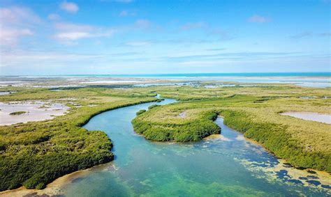 Xcalak Reefs National Park (Quintana Roo, Yucatán, Mexico)