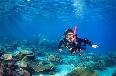 scuba-diving-great-barrier-reef - Great Barrier Reef Diving