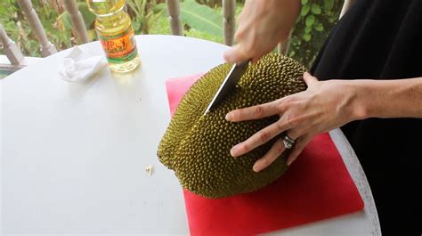 Open a Jackfruit the Easy Way: an Illustrated How-to Guide to Opening a ...