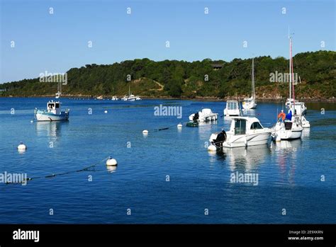 Riec sur Belon harbour on the Belon river, Finistere, Bretagne, Brittany, France Stock Photo - Alamy