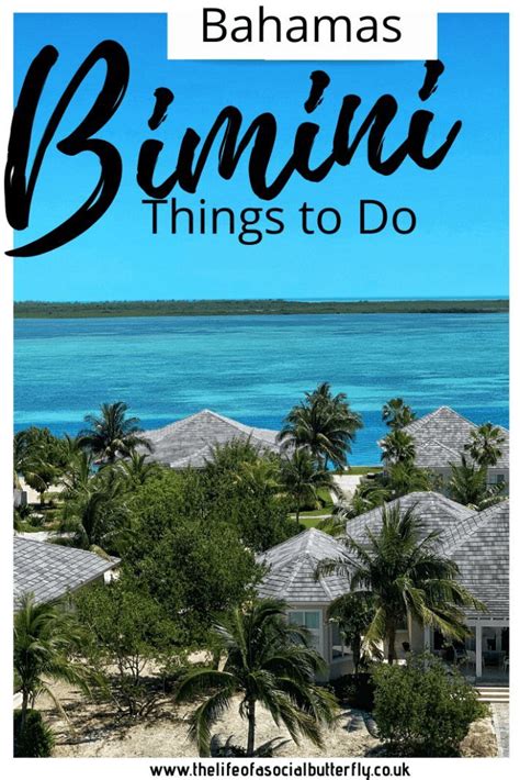 Bahamas Bimini Bliss - Things To Do in Bimini for the Day | Caribbean travel, Bimini, Caribbean ...