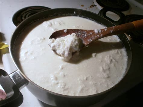 Quick Homemade Cottage Cheese with Vinegar - Eat Like No One Else