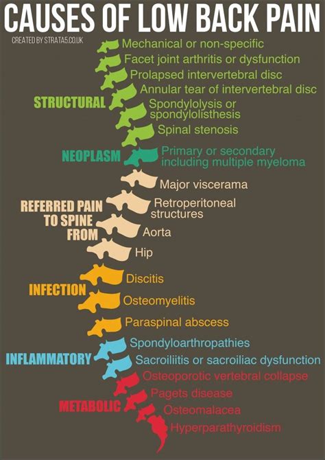 Pin on infograph layouts