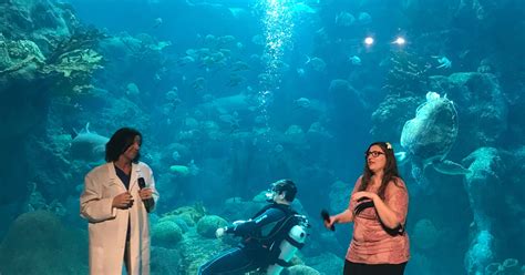 A Guide to The Florida Aquarium - Connecting with the Sea