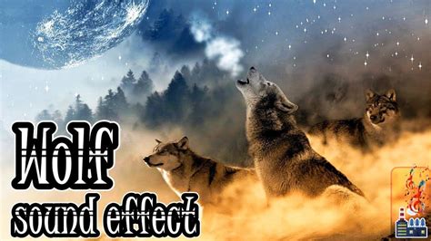 Wolf Sound Effects | Wolf Howling sounds | Wolf Sounds Growling - YouTube