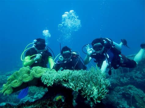 Mulai Rp 20 Ribu, Nikmati Snorkeling di Pulau Tidung