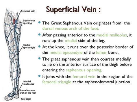 Deep vein thrombosis maria