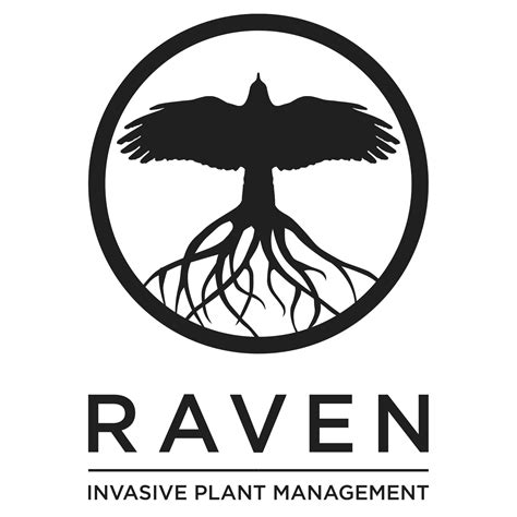 Raven Invasive Plant Management | Asheville NC