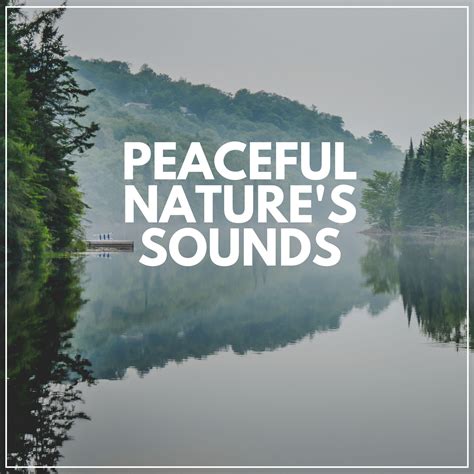 Meditation with Nature, Pt. 4 - Nature Sounds Nature Music - 单曲 - 网易云音乐