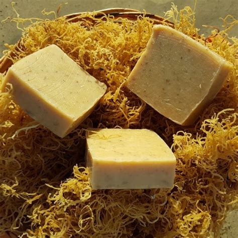 Handmade Gold Sea Moss Soap | Etsy