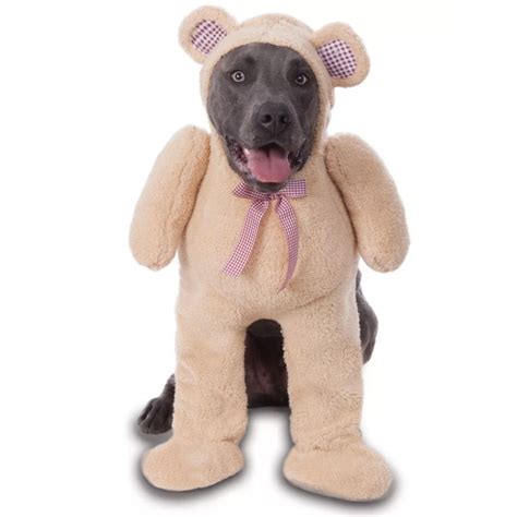 20 Cute Halloween Costumes for Extra Large Dogs (up to 3XL!) - Hey ...