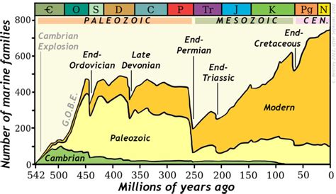 Mass extinctions – Historical Geology