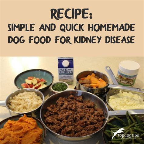 What Can I Feed My Dog With Kidney Disease