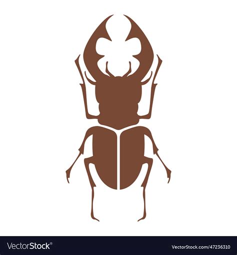 Beetle logo icon design Royalty Free Vector Image