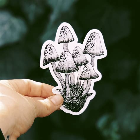 Mushroom Sticker Pack set of 3 Waterproof Stickers Original - Etsy ...