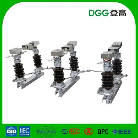 15kv Distribution Line Electronic Sectionalizer (FAS) - China Disconnector and Disconnecting Switch