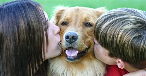 Pets-N-More: Teaching Children Compassion Toward Animals