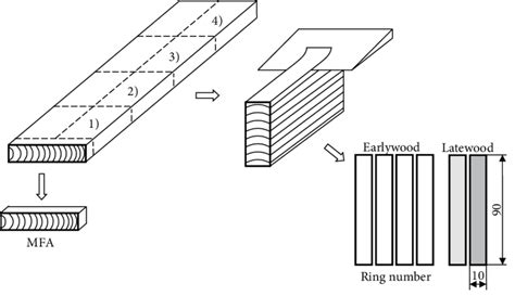 Sample preparation. | Download Scientific Diagram