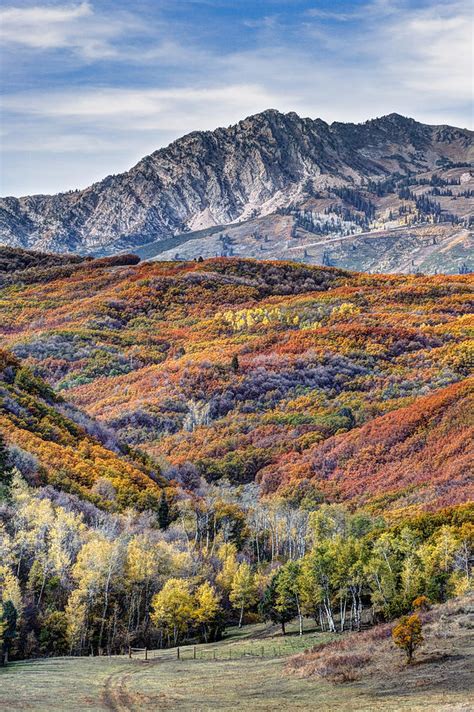 Wasatch Mountains Utah Photograph by Utah Images