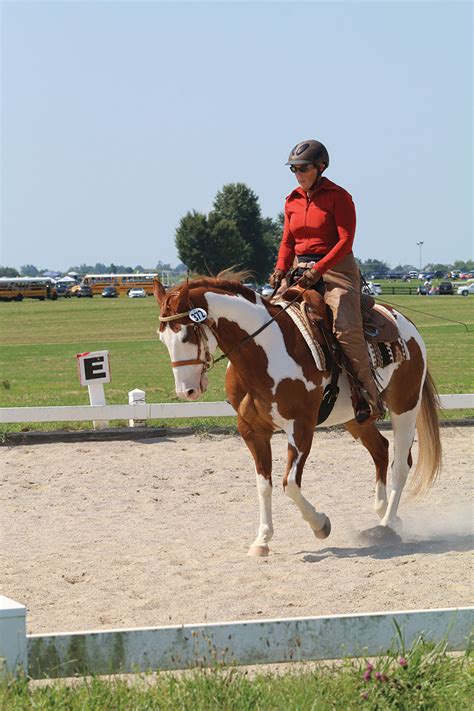 Western Dressage Overview - Western Life Today