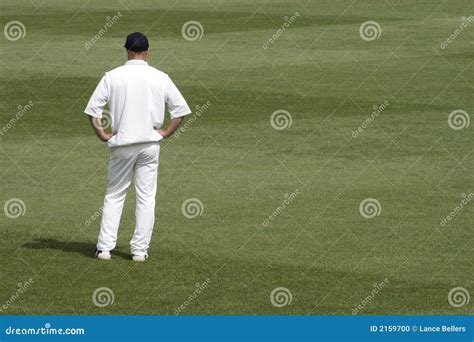 Cricket Fielder Stock Photo - Image: 2159700