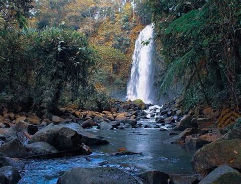 Wonders of CEDAR Bukidnon: 3 Falls and a Pool for 20 Pesos (All-in) in ...