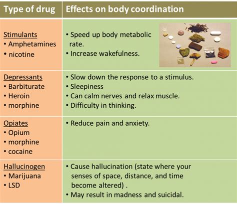 2.8 Effects of Drug Abuse on Health - SPM Science