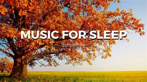 Calm Piano Instrumental, Music for Sleep & Meditation, Peaceful Music || Unplug & Unwind - YouTube