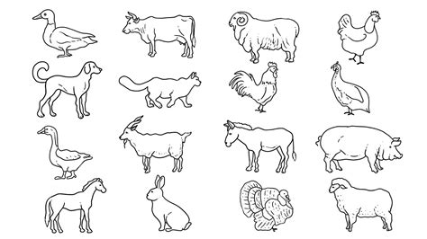 Discover 185+ farm animals drawing best - nanoginkgobiloba.vn