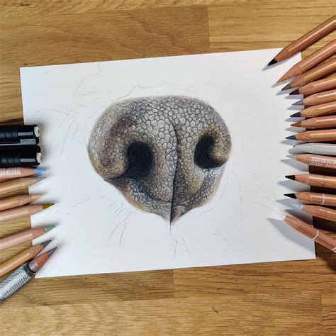 How to draw a realistic dog's nose with colored pencils | Dog drawing tutorial, Cats art drawing ...