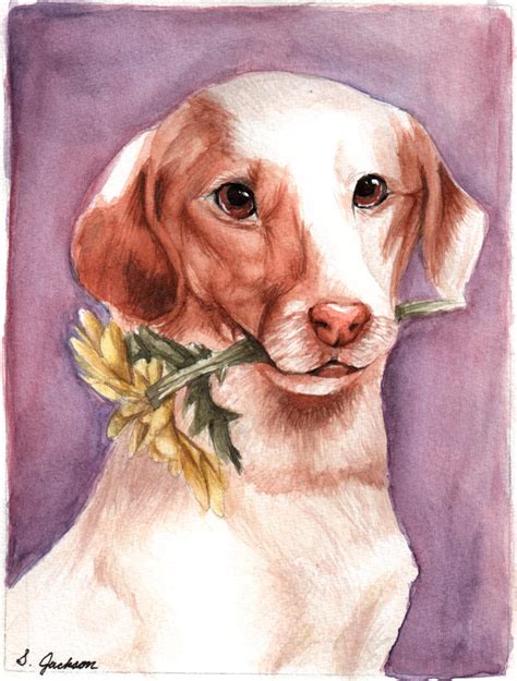 flower dog by Snow-K9 on DeviantArt