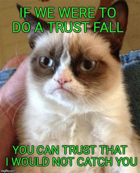 Grumpy Cat Meme - Imgflip