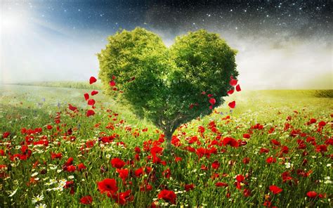 Nature Heart Wallpapers - Top Free Nature Heart Backgrounds ...