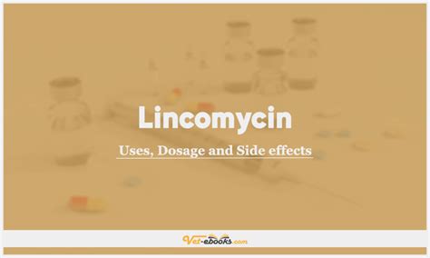 Lincomycin Dose For Dogs & Cats | Vet Drugs List