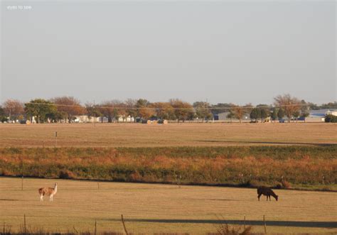 Beauty - Exploring Plainview Texas