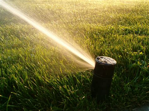 Turf Irrigation Systems Loveland | Loveland Sprinkler and Landscape